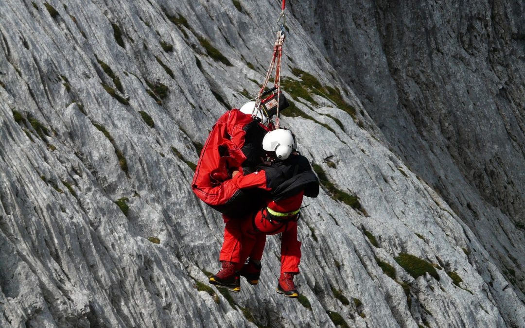 Dinas Damkar Mahakam Ulu Tangani Pohon Tumbang di Hutan Kota